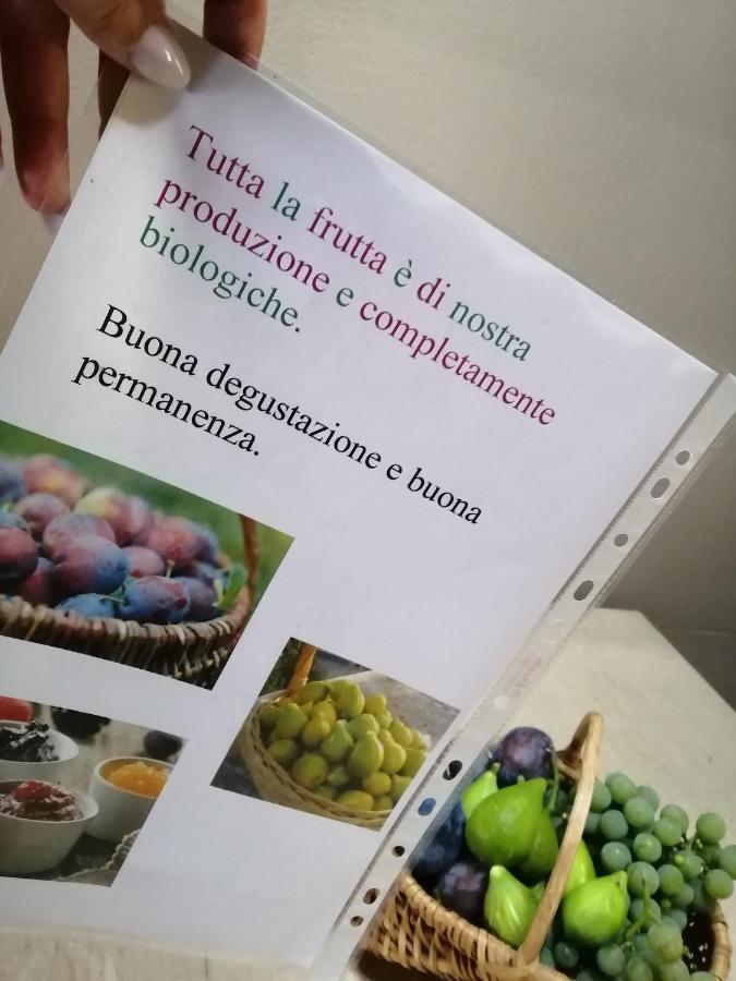 Casa Vacanze La Ca Del Cunfec Сондріо Екстер'єр фото